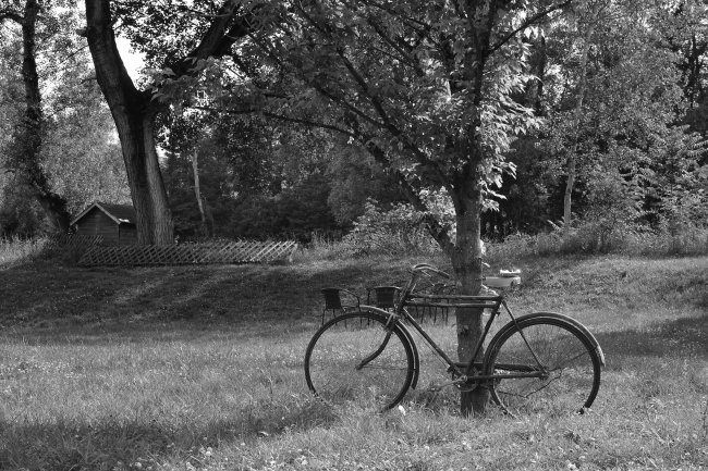 "Normal" Olmaq Yaxşıdırmı? – Cəmiyyətin Qəlibləri və Daxili Həqiqət