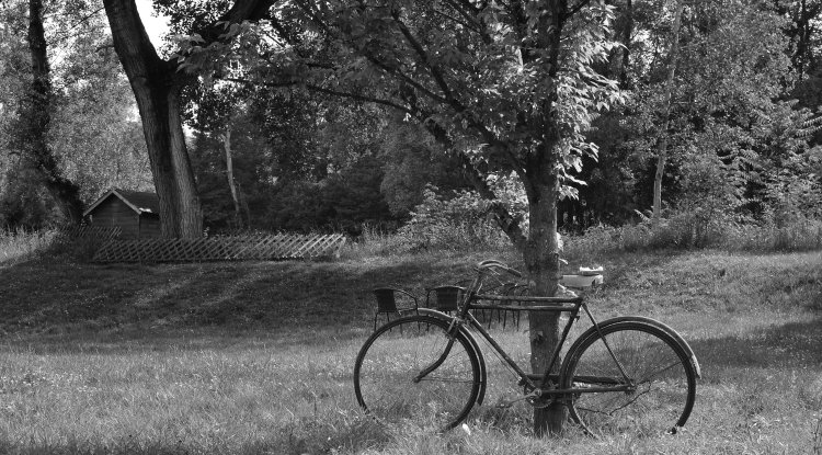 "Normal" Olmaq Yaxşıdırmı? – Cəmiyyətin Qəlibləri və Daxili Həqiqət